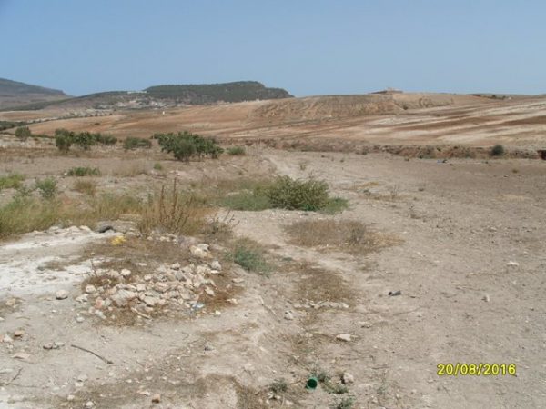 S1059613
