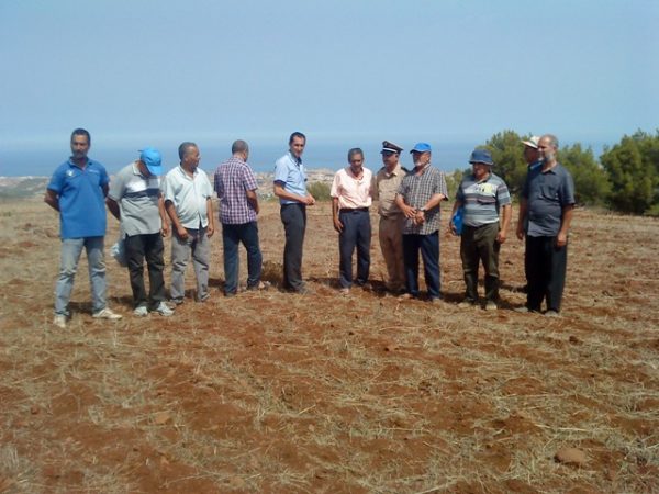 _p...mp (1219)