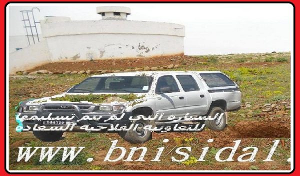 d-imarif-203