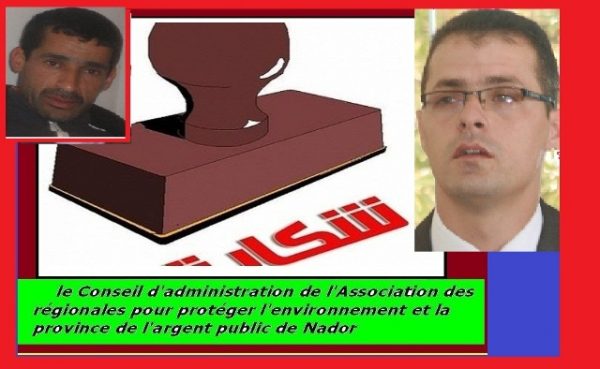 dimarif (13)