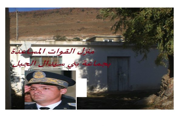 زيتـــــون  (285)