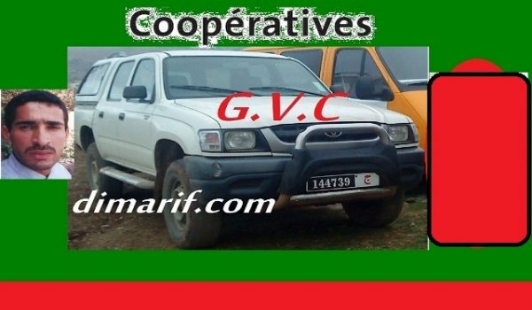 gvc-12