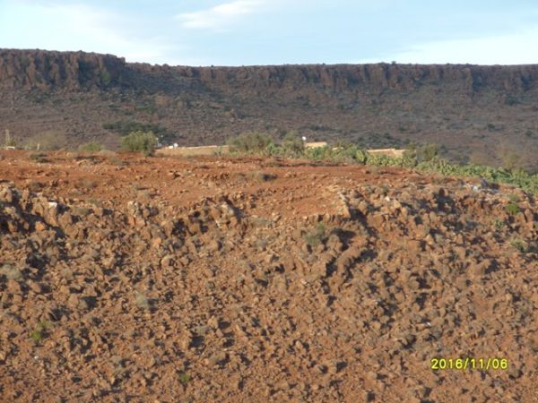 s1050319