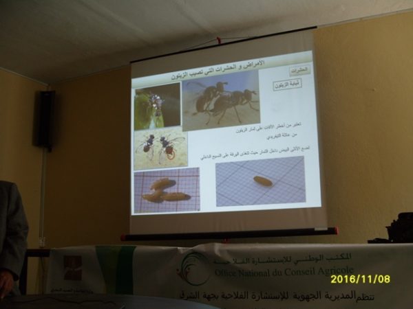 s1050485