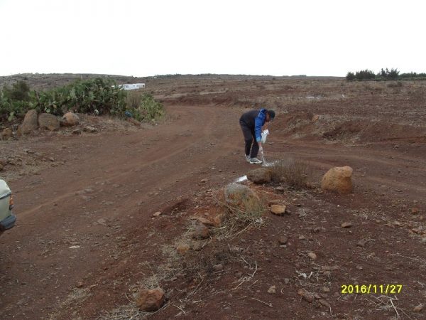 s1058952