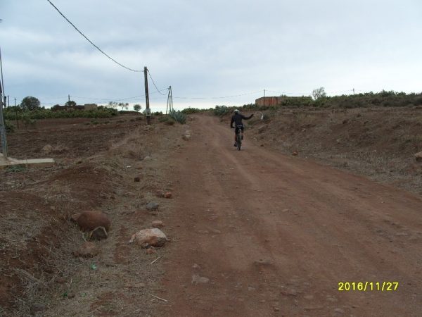 s1058969