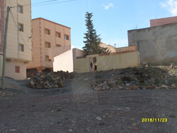 dimarif-com-1