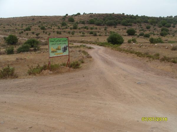 dimarif-com-121