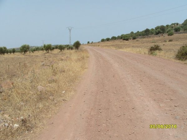 dimarif-com-133