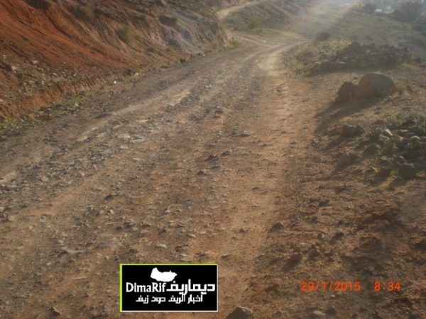 dimarif-com-382