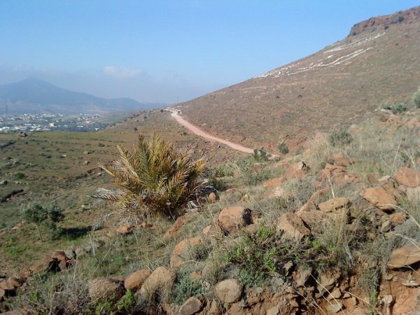 dimarif-com-41