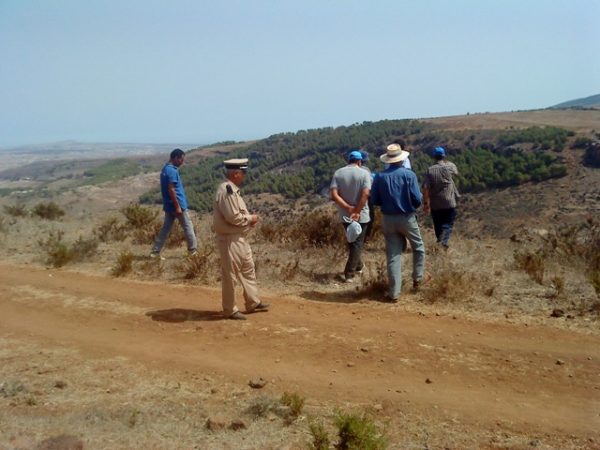 dimarif-com-73