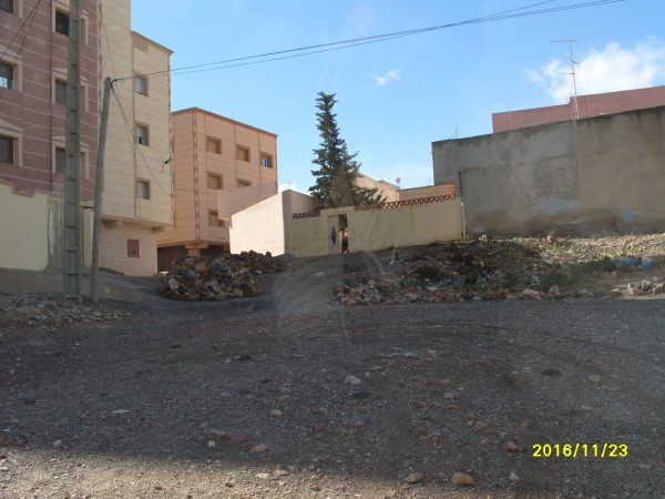 dimarif-com