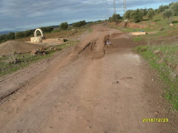s1050053