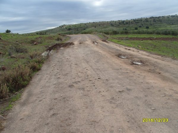s1050054