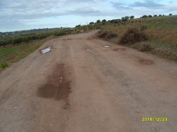 s1050058