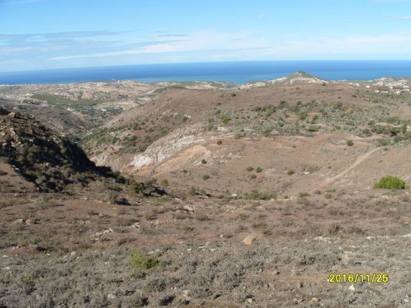 s1058899