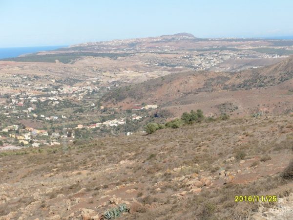 s1058908