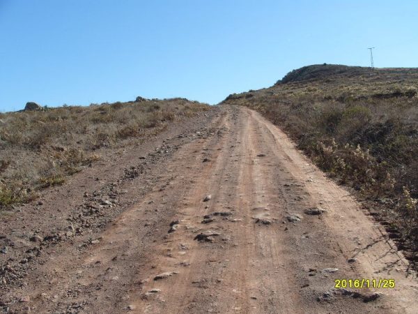 s1058917