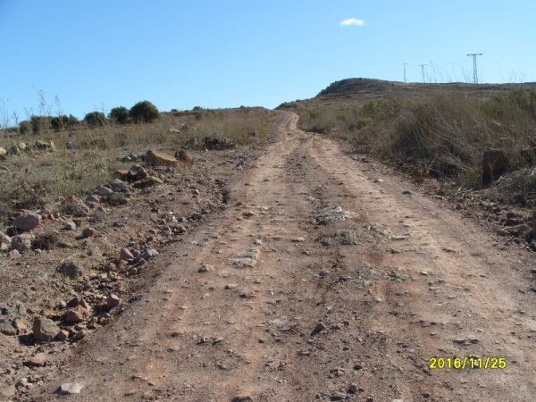 s1058921
