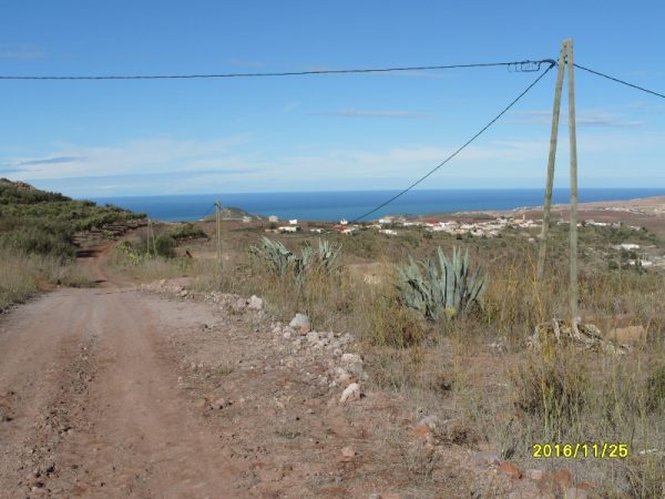 s1058922