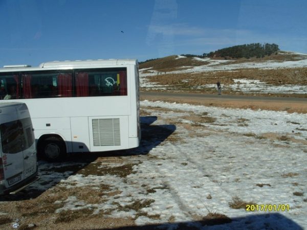 s1050391