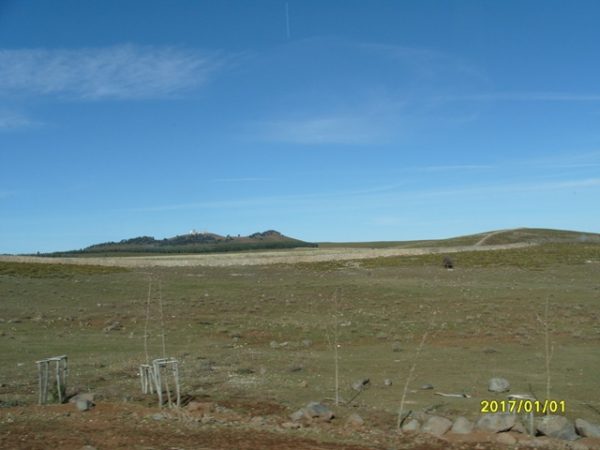 s1050463