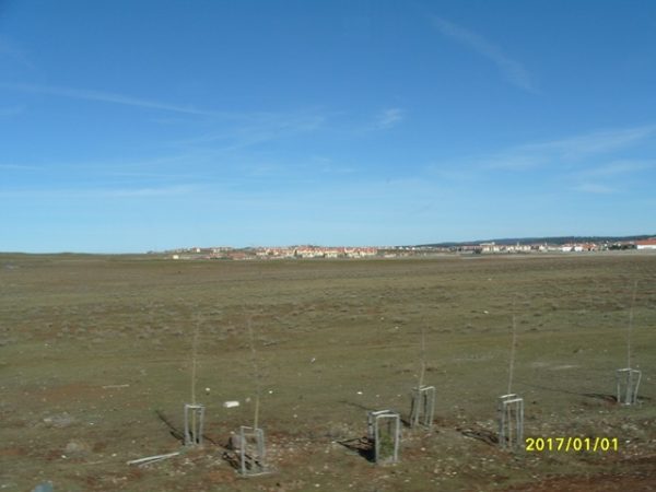 s1050465