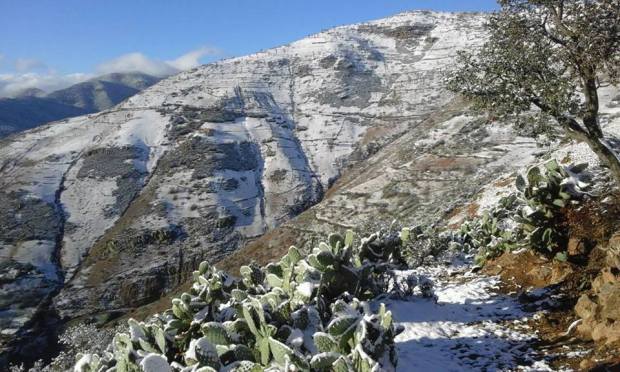 %image_alt%