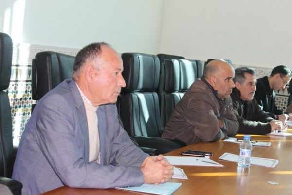dimarif.com (13)