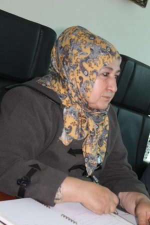 dimarif.com (14)