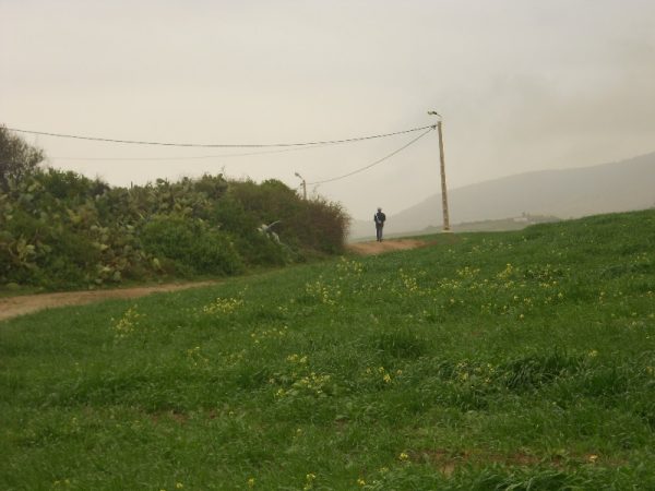 DSCN2239