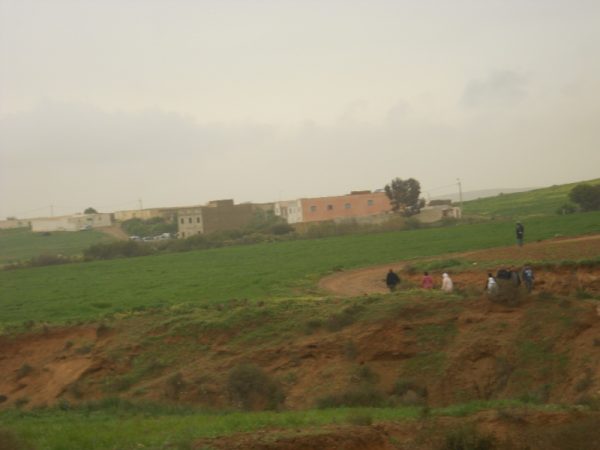 DSCN2242