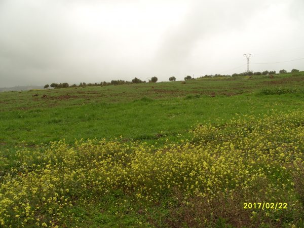S1050197