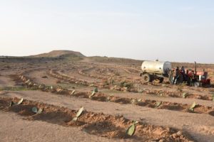 %image_alt%