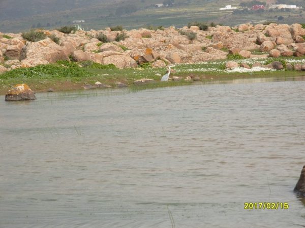 maxresde.. (.. (29)