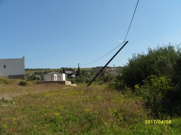 S1050084