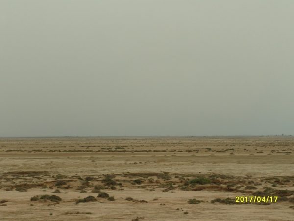 S1055663