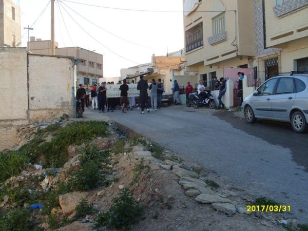 dimarif (402)