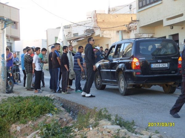 dimarif (409)