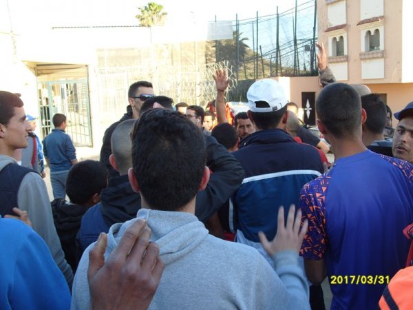 dimarif (422)