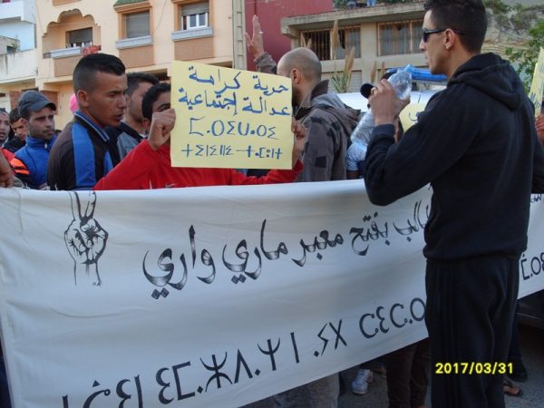 dimarif (426)