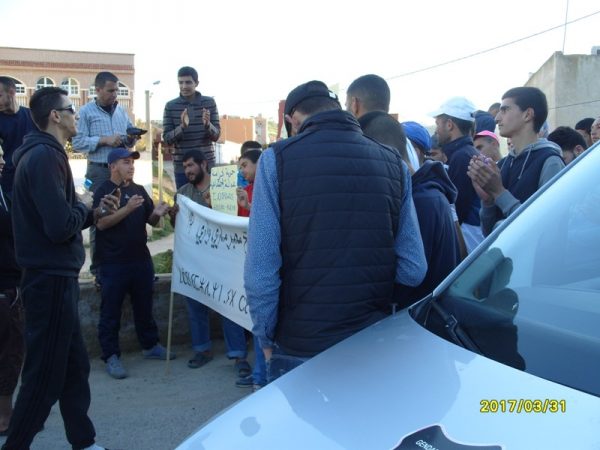 dimarif (432)