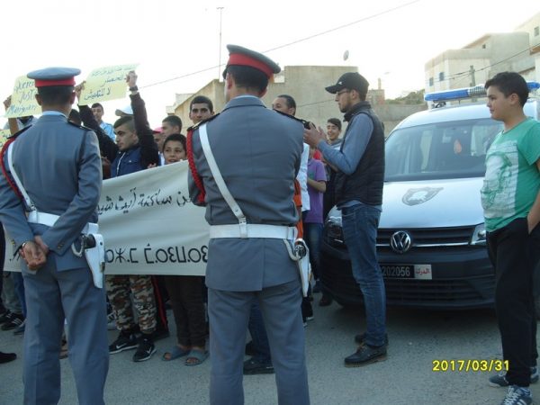 dimarif (436)