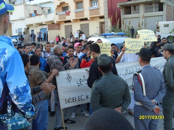 dimarif (437)