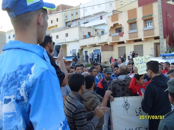 dimarif (445)
