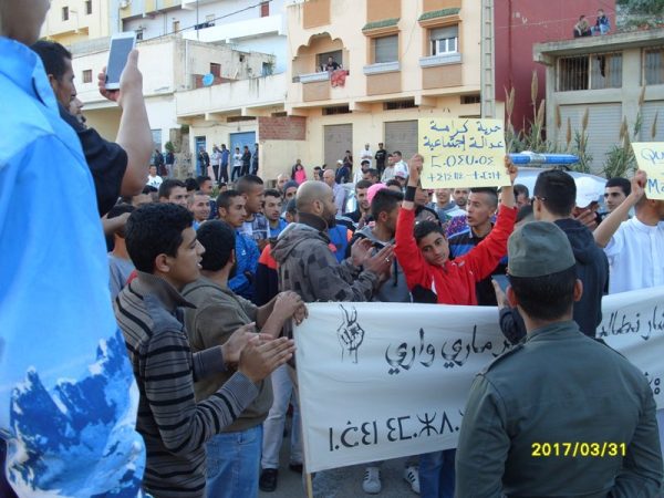 dimarif (446)