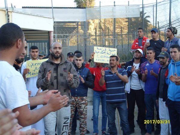 dimarif (456)