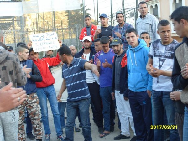 dimarif (458)