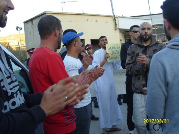 dimarif (462)